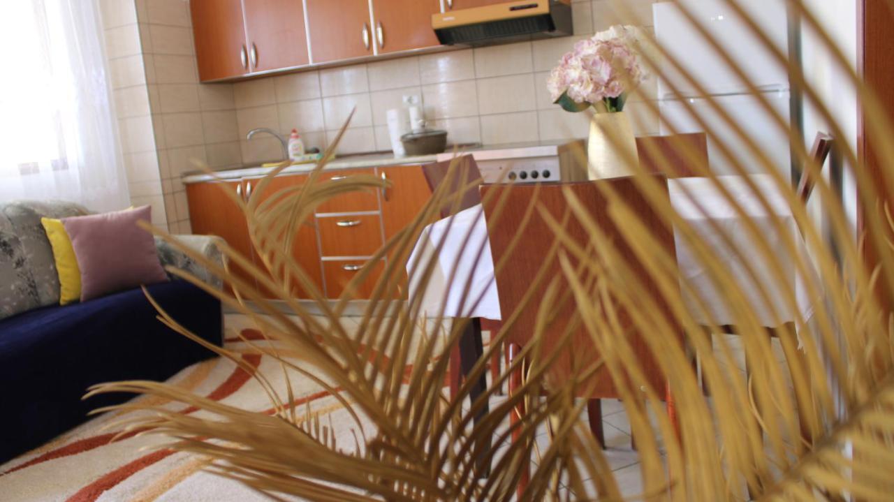 Bledi'S Cozy Apartment In New Blvd Тирана Екстер'єр фото